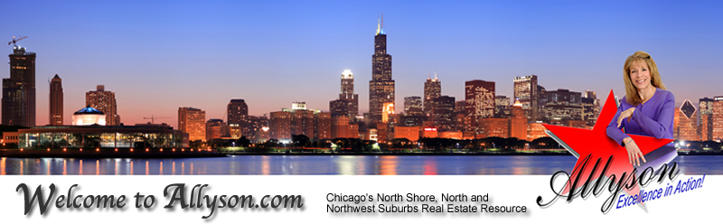 Allyson.com - Excellence in Action - Chicago's North Shore, North and Northwest Suburbs Real Estate Resource, your Northern Illinois Real Estate website - RE/MAX Villager